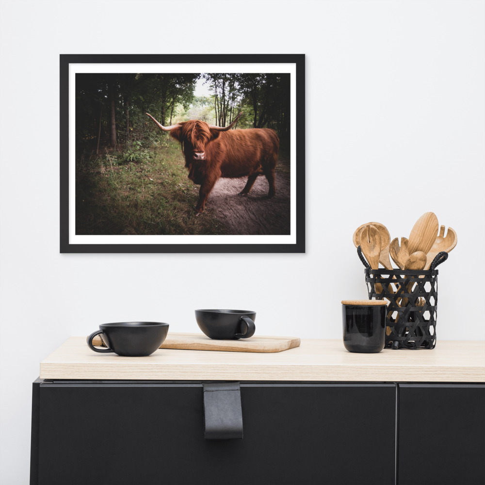 Prints